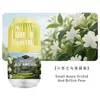 Gaiola de Pássaro Aromaterapia Sem Fogo Aromaterapia Escritório Banheiro Desodorização Fragrância Divertida Purificador de Ar Interior Armário Fragrância