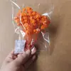 Bolsas de Porciones Pequeñas de Flores Secas, Flores Conservadas, Abanicos Hechos a Mano para DIY, Arreglos Florales Flotantes, Actividades de Team Building, Pegamento, Pinzas