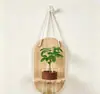 Conjunto de Plantas Verdes Hidropônicas de Parede com Suporte de Parede de Madeira Natural para Sala de Estar, Quarto, Mesa, Decoração Fresca, Plantas Fáceis de Cuidar