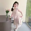 Conjunto para Meninas 2026 Novo Estilo Moda Coreana Infantil Moda Bordada Colete Conjunto de Duas Peças de Chiffon para Meninas Pequenas Roupa de Verão