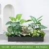 [Serie Y80] Decoración de Partición de Planta Verde Simulada Macetero Maceta Valla Paisajística de Plástico Biónico Diseño