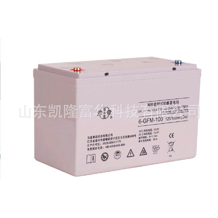 双登蓄电池100AH