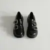 Sapatos Mary Jane femininos versáteis para o dia a dia, estilo doce e feminino, bico redondo, sola grossa, tira com fivela dupla, sapatos de salto único retrô, 2026 verão