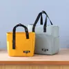 Bolsa Térmica Bento de Moda em PEVA, Portátil à Mão, Impermeável, Bolsa Térmica Portátil para Almoço de Estudante para o Trabalho, Bolsa para Lancheira