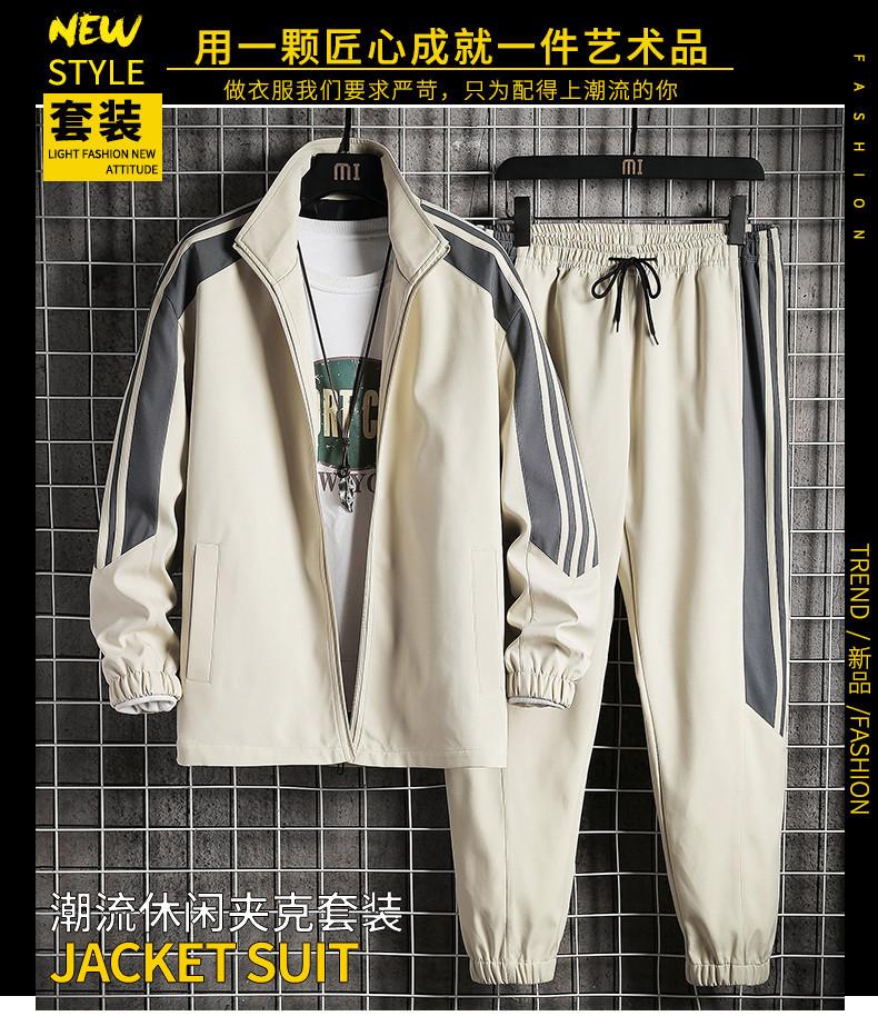 D02 Subasta colgante-net_01.jpg