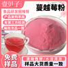 Estoque Pronto com Frete Grátis Pó de Cranberry Solúvel em Água Extrato de Cranberry Bebida Sólida Matéria-Prima Pó de Fruta de Cranberry Grau Alimentício