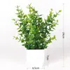 Venda quente transfronteiriça planta artificial planta artificial planta verde interior e exterior decorativo vaso de plástico eucalipto pequeno vaso