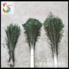 Fábrica de Penas Wen Ci Grande Venda de Cabelo Natural de Pavão 80 -- 90cm Cor Natural Pavão Azul 100 Raízes Batidas