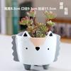 Vaso de flores carnudo de animal de desenho animado cerâmica liquidação especial bacia pequena fina diâmetro grande fofo carnudo bacia especial mesa