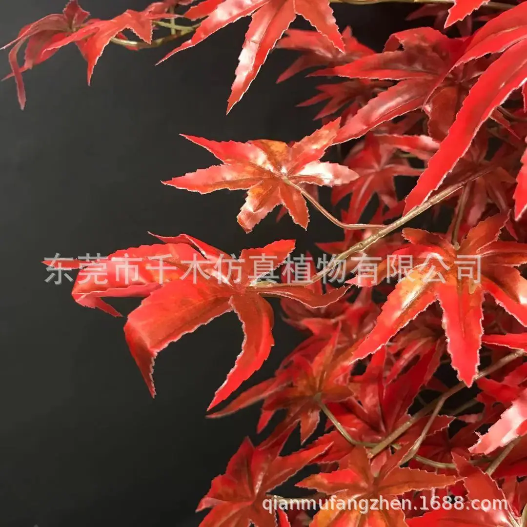 微信图片_201911131156204