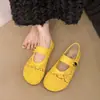 Zapatos de doble uso para comercio exterior transfronterizo, nuevos zapatos de encaje hueco para mujer, zapatos Mary Jane finos transpirables tejidos para primavera y otoño
