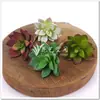 Venta al por mayor de fábrica planta suculenta artificial mini planta mini Saussurea Flor de Loto Flor de Loto Decoración para el hogar boda Planta verde de PVC