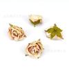 Cabeça de Rosa Simulada 5cm DIY Acessórios de Joalheria Decoração Decoração Parede de Fundo Casamento Adereços de Fotografia de Flores Conjunto