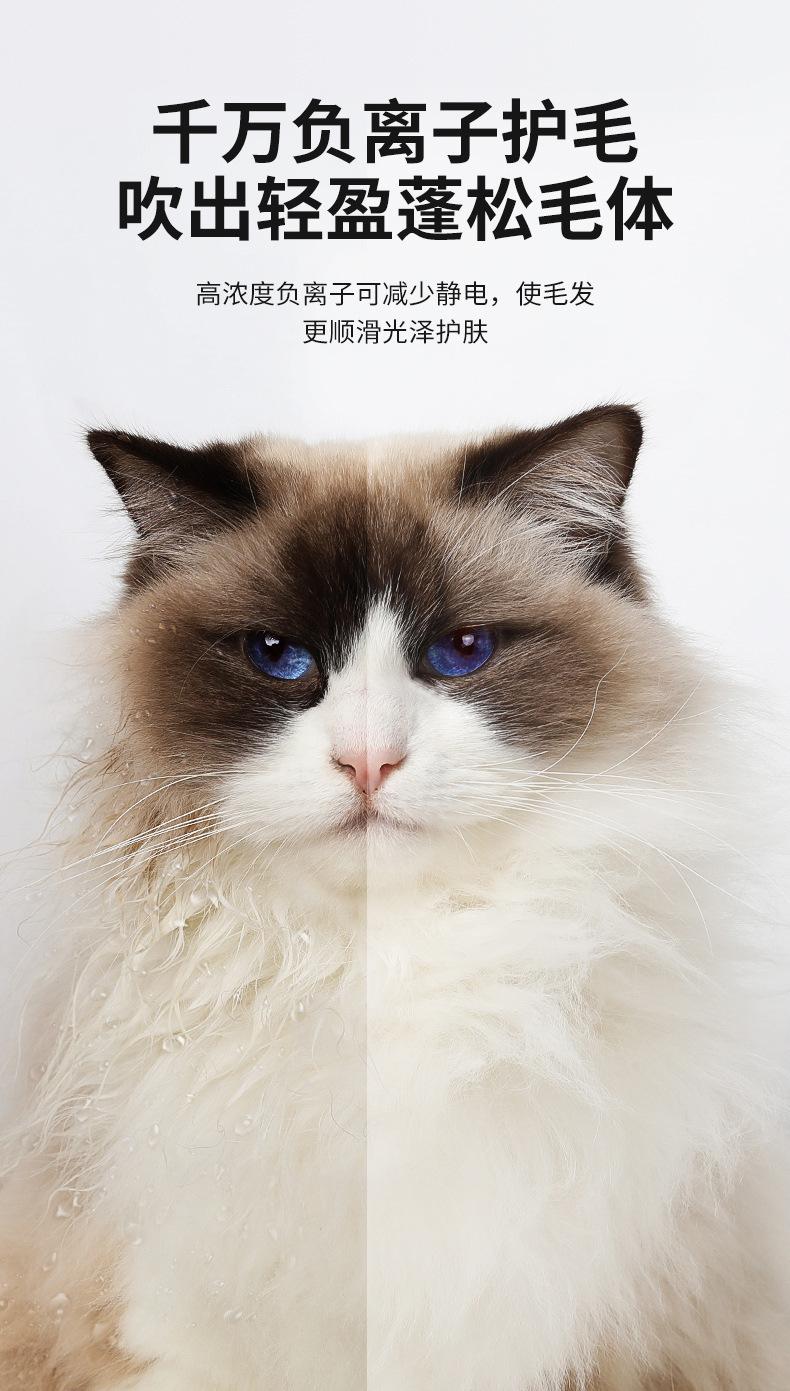 卷尾巴-宠物智能烘干箱-DHT-F1--第三_06