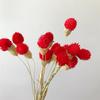 Libro Rojo Pequeño Mismo Estilo Fresa Eterna Fruta Flores Secas Reales Materiales Florales DIY Flores Pegadas Hechas a Mano En Stock Fruta de Fresa Seca