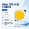 Fuente de Luz Cob 1304/1507/020/2520/2530 Lámpara Cob de Alta Potencia Alto CRI Perlas de Lámpara LED de Alta Reproducción Cromática