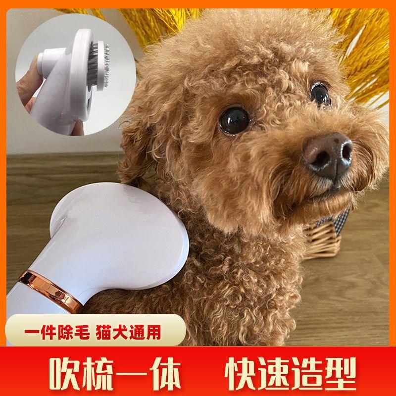 一键复制_20231018105557