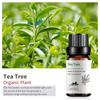 Exportación Transfronteriza Aceite Esencial Individual Fragancia Aromaterapia Masaje Aceite Esencial Sándalo Difusor Mayoreo Muestra de 10 ml