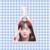 Jin Zhixiu Maleta Baúl Etiqueta de Equipaje Mochila Colgante Cadena Colgante Colgante Colgante Colgante Etiqueta Colgante Alrededor Tono de Sacudida Mismo Estilo
