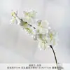 9 Orquídeas Phalaenopsis Artificiais para Decoração de Casamento, Arranjos Florais para Salões de Casamento, Shoppings, Paisagismo do Jardim de Monet, Luxo Leve