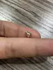 Gran Venta Zhongxing Accesorios para Joyería DIY Chapado en Cobre Oro de 14K Tapa de Flor Hebilla de Cierre Gancho para Oreja Tapones para Oreja Accesorios Al Por Mayor