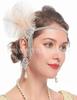 Faixa de cabelo de penas dos anos 1920, faixa de cabelo de pavão, borla de diamante da Amazon, faixa de cabeça de penas pretas Gatsby