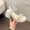 Zapatos de Mujer Versátiles y Populares para Verano 2025, Amigables con Faldas, Cómodos para los Pies, Sandalias de Tacón Grueso de Tacón Alto para Mujer Estilo Dulce de Celebridad de Internet