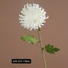 Flor artificial de cola de fénix de un solo tallo, de alta calidad y realista, adecuada para decoración de sala de estar, exhibición comercial, accesorios de fotografía y proyectos de bricolaje