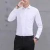 Camisa Casual de Cor Sólida Sem Ferro Manga Longa Primavera e Outono Nova Fibra de Bambu Camisa Profissional de Negócios Versátil Confortável Top Masculino