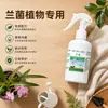 Raíz de Hongo Lan Nutrición y Protección Peptide Activo Mejorador de Suelo para Crecimiento y Floración Mejorados, Adecuado para Phalaenopsis, Cymbidium y Otras Variedades de Orquídeas, Fertilizante Universal