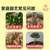 Promotor de germinación para suculentas, solución nutritiva promotora de crecimiento, promueve brotes laterales, potenciador universal de germinación para flores y plantas verdes