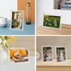 Marco de Fotos Acrílico Transfronterizo de Amazon en Forma de Abanico con Soporte Desmontable Magnético de Doble Cara Transparente Encaje Onda Marco de Fotos