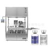 Máquina automática de enchimento de pó de creme de melancia 1G máquina de enchimento e tampamento de pó de torniquete 0,3g linha de enchimento quantitativo de pó de medicina chinesa