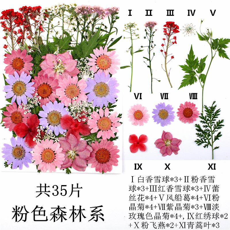 IMG_4228_副本_副本.jpg