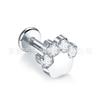 Paquete Garra de Gato de Titanio F136 Zircón Pata de Oso Clavo de Oreja Clavo de Labio Aleación de Titanio G23 Joyería para Perforación Corporal Clavo de Hueso de Oreja