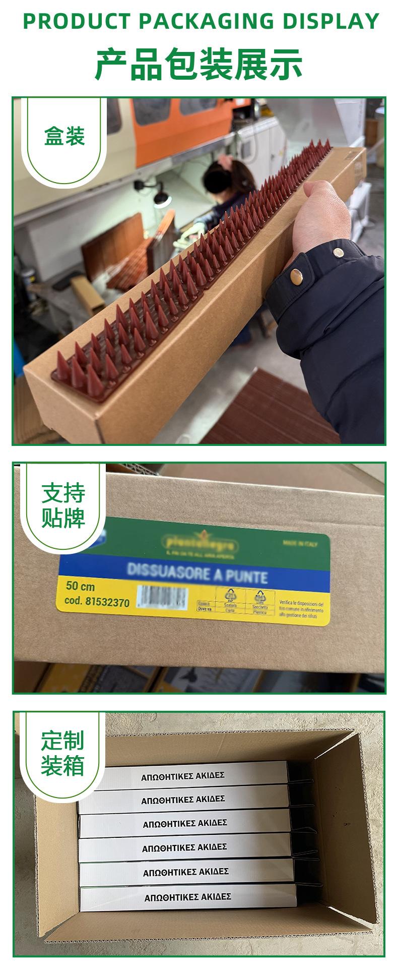 矮鸟刺详情_05