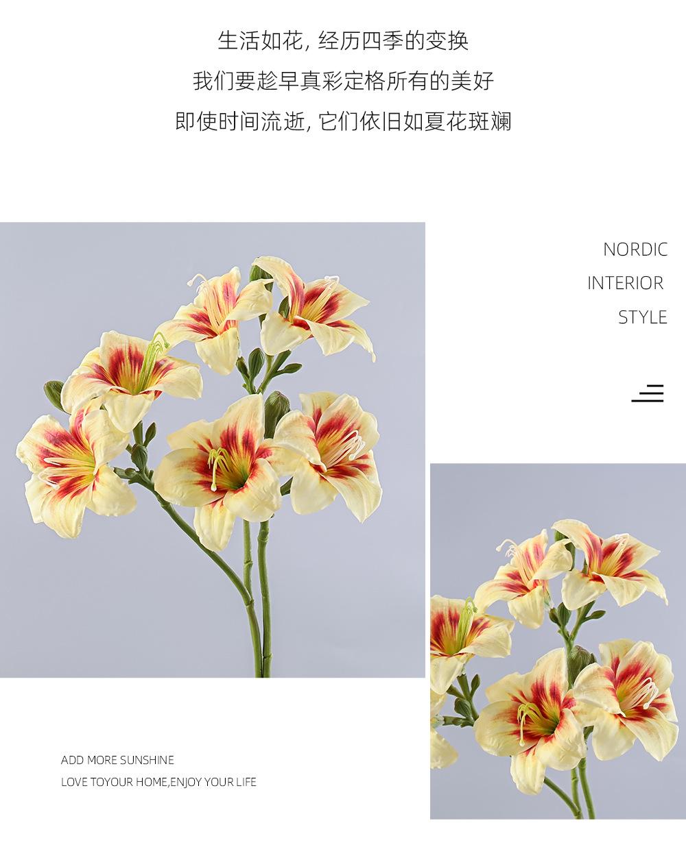 详情_05.jpg