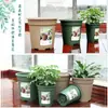 Maceta Global Gallon Segunda Generación Maceta Engrosada Control de Raíces Maceta Rosa Verde Flor de Rosa Maceta de Jardinería Redonda de Resina Maceta Global