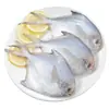 Pez Plata Pescado Plano Capturado en Estado Salvaje Aguas Profundas Congelado Pescado Blanco Grande Mariscos Productos Acuáticos Caballa Productos Acuáticos Frescos Venta al por Mayor Comercial