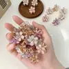 Pinza Pequeña Mini Flor Princesa de Resina para Cabello para Mujeres, Delicado Pasador Lateral para Flequillo y Cabello Suelto, Primavera y Verano