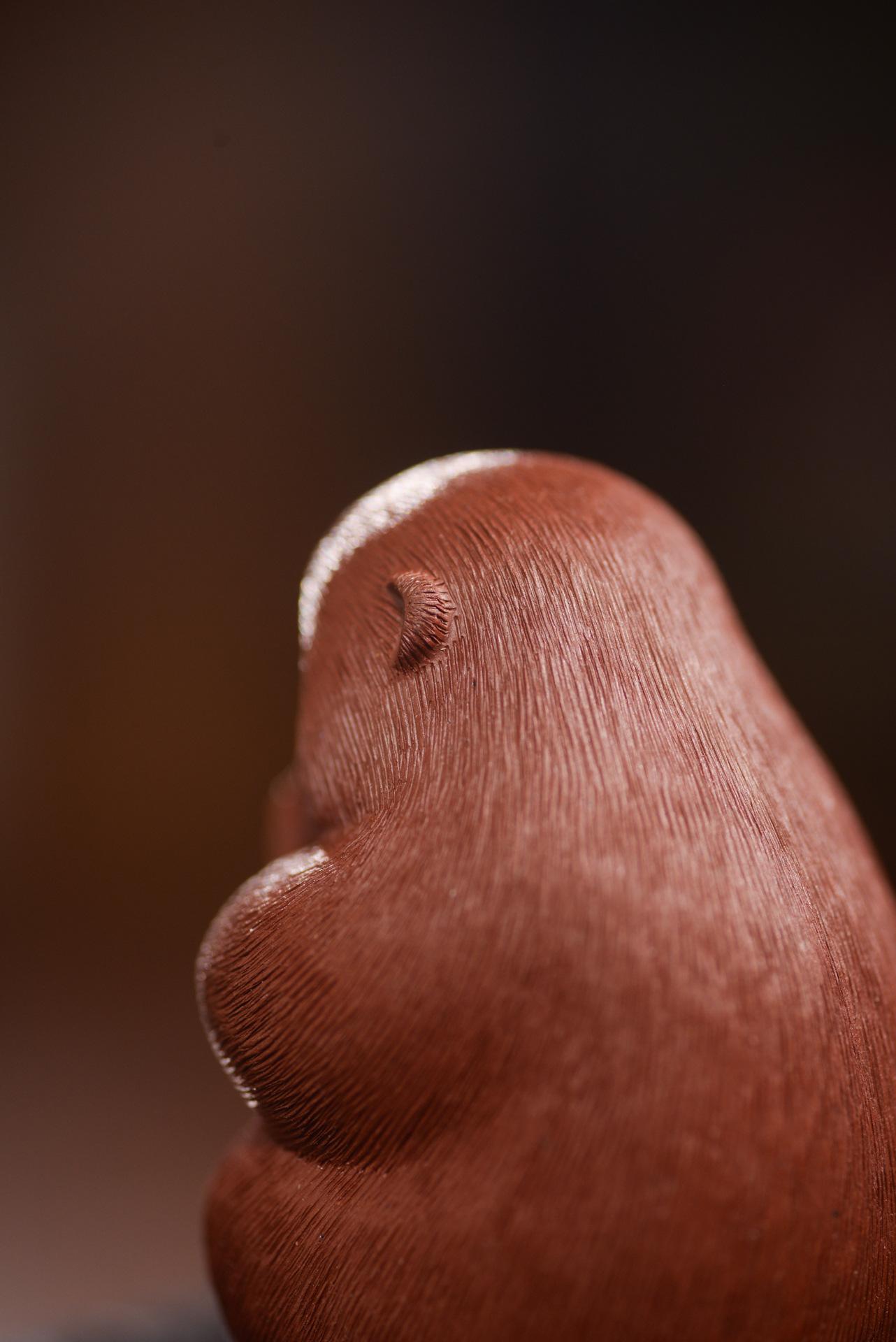 猴子拉毛大红袍猴子1120