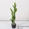 Cactus Pilares de Dragón Simulados Cactus Parásito Planta del Desierto Marroquí Decoración Suave para Paisajismo Modelo Decoración de Proyectos