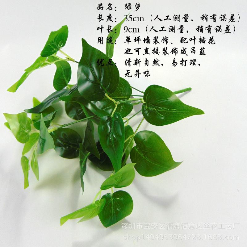 DSC00528 副本