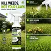 Spray KineShineX para Eliminar Malezas del Césped - Agente de Tratamiento para Malezas de Hoja Ancha en Jardines y Patios con Pulverizador Manual de Precisión