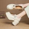 Zapatos Mary Jane de Tacón Grueso y Suela Gruesa para Mujeres de Baja Estatura 2026 Nueva Moda Tira en T Simple Tacones Altos de Cuero