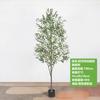 Amazon Artificial Green Planting Olive Tree Potted Removível Árvore Artificial Fake Green Planting Indoor Large Floor Ornaments Tree
