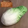 Venta al por mayor directa de fábrica de todo tipo de verduras de tacto de alta simulación PU verduras falsas PU simulación pepino col