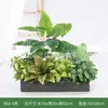 [Série B60] Caixa de Flores de Planta Simulada Planta Verde Sala de Estar Plástico Flor Artificial Porta Varanda Parede de Fundo Decoração