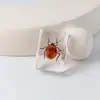 Especímenes Delgados de Insectos Reales, Adornos de Escritorio de Animales Reales, Escorpiones, Tortugas Doradas, Cigarras, Materiales Didácticos para Niños, Manualidades de Resina