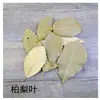 Hojas Secas Naturales Estilo Mori Decoración Retro Hoja de Pera Amarilla Hoja de Ciprés Pera Materiales para Hacer Especies de Muestra Hechos a Mano Hojas Secas DIY